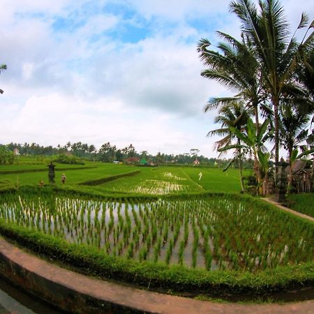 Vinarya Villa Ubud Exteriér fotografie