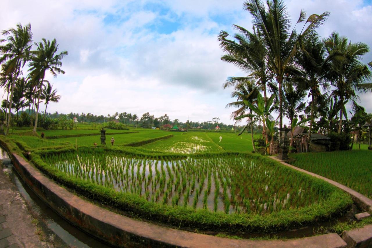 Vinarya Villa Ubud Exteriér fotografie